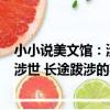 小小說美文館：涉世 長途跋涉的蘋果（關于小小說美文館：涉世 長途跋涉的蘋果簡介）