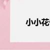 小小花仙（關于小小花仙簡介）