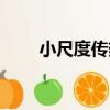 小尺度傳熱（關于小尺度傳熱簡介）