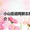 小山街道殘聯志愿服務隊（關于小山街道殘聯志愿服務隊簡介）