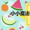 小小魔法師（關于小小魔法師簡介）