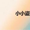 小小盜賊（關于小小盜賊簡介）