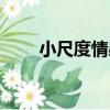 小尺度情感（關于小尺度情感簡介）