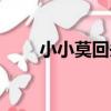 小小莫回頭（關于小小莫回頭簡介）