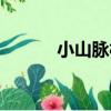 小山脈村（關于小山脈村簡介）
