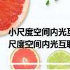 小尺度空間內光互聯多維復雜網絡理論和關鍵技術（關于小尺度空間內光互聯多維復雜網絡理論和關鍵技術簡介）