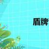 盾牌青春歌曲（盾牌青春）