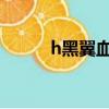 h黑翼血環攻略（黑翼血環入口）