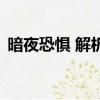 暗夜恐懼 解析（關于暗夜恐懼 解析的簡介）