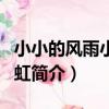 小小的風雨小小的虹（關于小小的風雨小小的虹簡介）