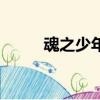 魂之少年（關于魂之少年的簡介）