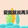 愛我就說再見（關于愛我就說再見的簡介）
