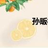 孫畈村（關于孫畈村介紹）