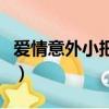 愛情意外小把戲國語版全集（愛情意外小把戲）