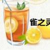 雀之靈（關于雀之靈的簡介）