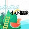 小小相親記（關于小小相親記簡介）