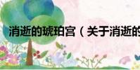 消逝的琥珀宮(關于消逝的琥珀宮的簡介)