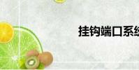 掛鉤端口系統
