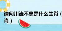 請問川流不息是什么生肖(川流不息是什么生肖)