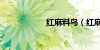 紅麻料鳥(紅麻料)