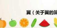 翼(關于翼的簡介)