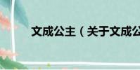 文成公主(關于文成公主的簡介)