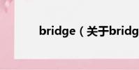 bridge(關于bridge的簡介)