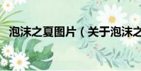 泡沫之夏圖片(關于泡沫之夏圖片的簡介)