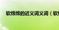 軟綿綿的近義詞義詞(軟綿綿的近義詞)