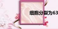 細胞分裂為63 m