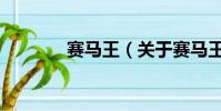 賽馬王(關于賽馬王的簡介)