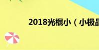 2018光棍小(小極品大光棍)