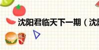 沈陽君臨天下一期(沈陽君臨天下)