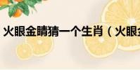 火眼金睛猜一個生肖(火眼金睛打一個生肖)