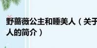 野薔薇公主和睡美人(關于野薔薇公主和睡美人的簡介)