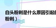 白頭粉刺是什么原因引起的,怎樣調理(白頭粉刺)