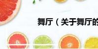 舞廳(關于舞廳的簡介)