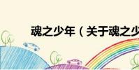 魂之少年(關于魂之少年的簡介)
