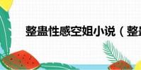 整蠱性感空姐小說(整蠱性感空姐)