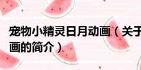 寵物小精靈日月動畫(關于寵物小精靈日月動畫的簡介)