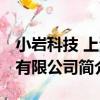 小巖科技 上海有限公司（關于小巖科技 上海有限公司簡介）