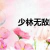 少林無敵腿（關于少林無敵腿簡介）