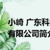 小崎 廣東科技有限公司（關于小崎 廣東科技有限公司簡介）