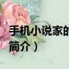 手機小說家的愛情（關于手機小說家的愛情的簡介）