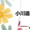 小川道的（關于小川道的簡介）