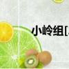 小嶺組[2]（關于小嶺組[2]簡介）