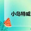 小島特威巴（關于小島特威巴簡介）