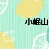 小岷山歌（關于小岷山歌簡介）