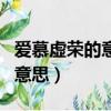 愛慕虛榮的意思是什么意思視頻（愛慕虛榮的意思）