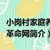 小崗村家庭養生革命網（關于小崗村家庭養生革命網簡介）